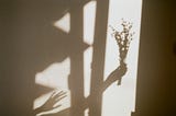 The Shadow of Your Smile