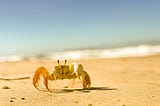 Benchmark TypeScript Parsers: Demystify Rust Tooling Performance