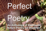 Curating A Poetry Anthology Took Time, Planning, and Persistence