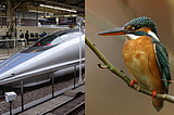 Bullet train Shinkansen 500 and Kingfisher bird.