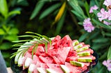 picture showing watermelon pieces served in a plate
