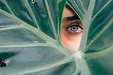 Belonging & Being Authentic