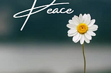 Finding Peace in Daily Life: Embrace Travel and Prioritize Sleep