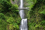Should I go to nature when I have YouTube?