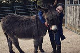 Horses aren’t naughty, donkeys aren’t stubborn, and you aren’t being fair…