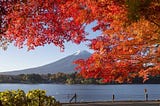 【Travel Japan】Tokyo Autumn Leaves: 10 Best Koyo Spots for a Beauti-Fall Experience!