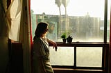 The Therapeutic Window View