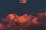 September 2023 Predictions: Halloween Tarot Pick-A-Card 🎃