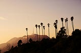 Don’t Cement Our Future: Rethinking LA’s Landscape After Fire (and Floods)