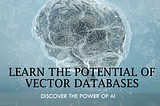 Learn the Power of Vector Databases in AI