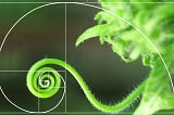 A plant vine, curled in a shape of a spiral, traced by the Golden ratio spiral