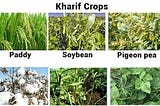 Difference Between Kharif And Rabi Crops — TricksWallah
