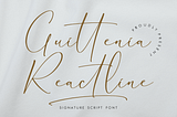 Guittenia Reactline Font