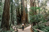 The Various Data Science Career Paths