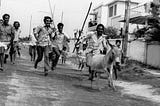 A group of men chasing a foal in a street with sticks in their hands