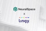 NeuralSpace & Lingy Boost Global Logistics Efficiency: Customer Story