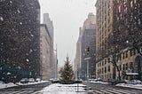 Omicron Blizzard Hits New York