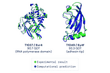 Reshaping the Future, Protein by Protein; Bit by Bit