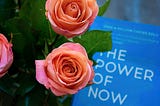 THE POWER OF NOW (BOOK REVIEW)