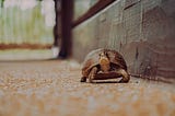 Slow down!