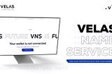 Velas Name Service: Early Potential Airdrop