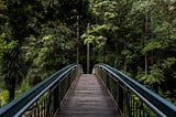 The Best Nature-Based Activities for Your Mental Health