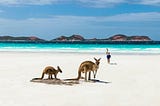 Traveling Australia: Aussie Slang You Need to Know