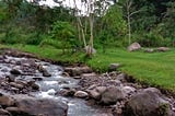 How to Filter a Collection Using Streams in Java?