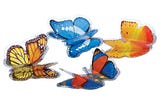 insect-lore-3d-butterfly-stickers-1