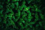 You Can Save The Planet By Doing Close To Nothing Everyday