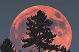 Moon Transit Following