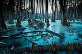 Finding your groove in the swampy lowlands