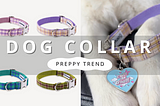 The Preppy Dog Collar Trend | PawrTalk