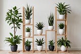 Plant-Shelf-1