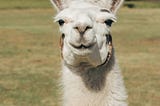 Getting started with LlamaIndex — Part 1