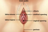How Do Women Masturbate?