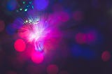 Diwali Unveiled: Unravelling the Effects of Diwali on Digital Media