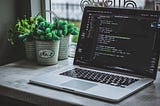 A laptop displays code in a terminal. Next to the laptop, three plants sit before a window.