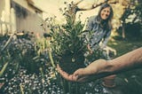 Sow, Prune, Bloom: The Gardener’s Approach to Achieving Your Dreams