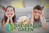 Naturally Green Cleaning