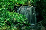 A waterfall in a small river, covered by vegetation.