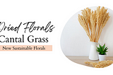 Introducing Lost Land Interiors’ Sustainable and Vibrant Cantal Grass Bunches