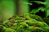 It’s not an ecosystem. It’s a Pile.