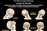 Spine Exam: Neck and Upper Extremity