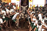 Alanganallur Jallikattu & Opportunities for start-ups