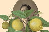 Miguel Bonnefoy and Big Literature’s Embrace of Magical Realism