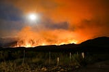 Wildfire