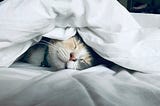 Why is good sleep more valuable than a high salary?