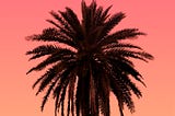 The Palm Tree