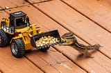 A chipmunk looking at peanuts in the bucket of a toy front loader.